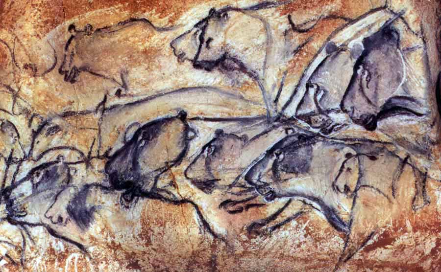 Cueva de Chauvet (Francia). Felinos y otros animales