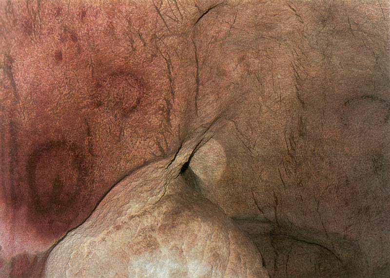 Panel de las vulvas en la cueva de Tito Bustillo (Asturias).